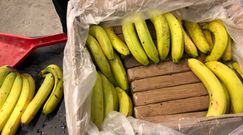 Narkotyki w bananach. Nowe informacje w śledztwie kanadyjskiej policji