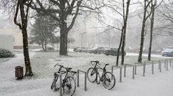 Szansa na śnieg? Ekspert o zimie w Polsce. Prognoza pogody na najbliższe tygodnie