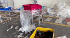Walizka z niespodzianką. Lotnisko w Ekwadorze udaremniło przemyt żywych zwierząt