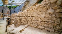 Sensacja archeologiczna w Izraelu. W Jerozolimie odkryto pozostałości z epoki żelaza
