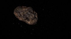 Asteroida Apophis nabiera prędkości. Niebezpiecznie zbliża się do Ziemi