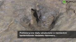 Prehistoryczne odkrycie w kamieniołomie nieopodal Hanoweru 