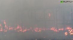 Pożar obozu w Calais. Uchodźcy podpalili część ewakuowanej "dżungli"