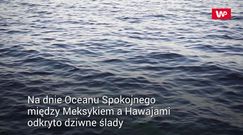 Tajemnicze ślady na dnie oceanu