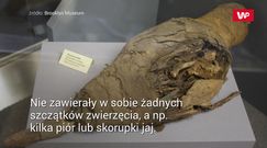 Znaleźli 6 mln mumii sprzed prawie 2,5 tys. lat. Wreszcie poznali ich tajemnicę