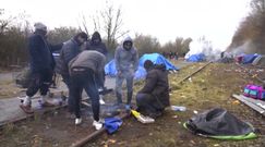 Dramat uciekinierów w Calais. Straszne, jak dotarli do Europy