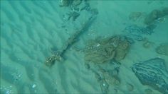 Przypadkowe odkrycie izraelskiego nurka. Starożytne przedmioty leżały 150 metrów od brzegu