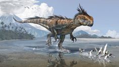 Ostatni z megaraptorów. Nowe odkrycie archeologów w Argentynie