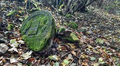 Opuszczony cmentarz w Kraśniku. Do dziś nagrobki służą za utwardzenie dróg