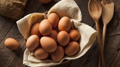 Regularne spożywanie jajek szkodzi. Naukowcy z Australii publikują wyniki nowych badań