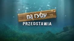 "Na Ryby" - darmowe wędkarska gra online