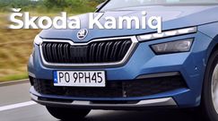 Skoda Kamiq - Rodzinny Samochód Roku Wirtualnej Polski 2020 - prezentacja zwycięzcy