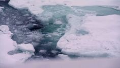 Niepokojące dane z satelity. Zmiany klimatu Arktyki