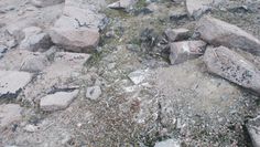 Starożytne cmentarzysko. Topniejący lód Antarktydy odsłonił coś przerażającego