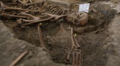 Masowy grób w Hiszpanii. Przerażające odkrycie sprzed II wojny światowej