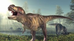 Nowy gatunek dinozaura. Brytyjscy poszukiwacze odkryli kości kuzyna T-Rexa