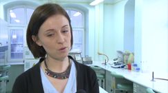 'Świńska grypa' atakuje w Polsce