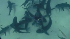 Niezwykłe podmorskie nagranie