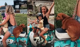 Internauci krytykują Annę Skurę za jazdę na skuterze z dzieckiem i psem bez zabezpieczenia: "TOTALNA GŁUPOTA. Żenada"