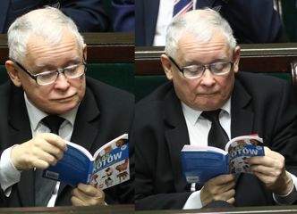 Podczas ważnego głosowania Jarosław Kaczyński czyta... "ATLAS KOTÓW" (FOTO)