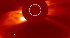 Promieniowanie Słońca zamieniło ją w pył. Niebywałe nagranie komety