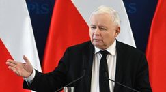Kaczyński o kartoflach dzików. "To trochę stand up"
