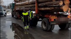 Jechali ciężarówkami z drewnem po Koszalinie. W każdej chwili mogło dojść do tragedii