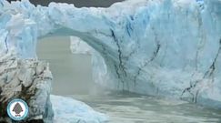 Spektakularne załamanie lodowca w Argentynie