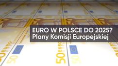 Euro w Polsce do 2025 r.? Tego miała chcieć Komisja Europejska