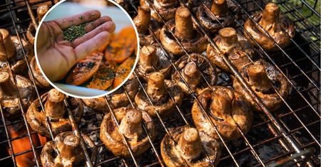 Dodaj podczas grillowania. Jelita ci podziękują