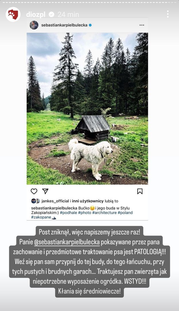 Sebastian Karpiel-Bułecka w ogniu krytyki za zdjęcie psa na łańcuchu. "Weź się pan sam przypnij do tej budy!" (FOTO)