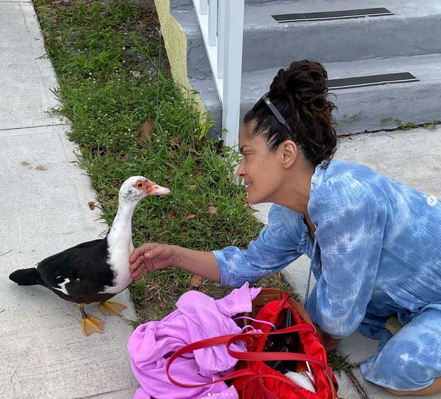 Salma Hayek pokazała się zaraz po przebudzeniu! "Liczę siwe włosy i zmarszczki" (FOTO)