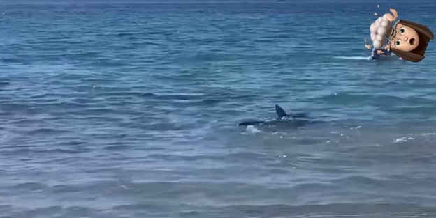 Rekin z Alicante pojawił się na plaży Magdy Pyznar! Celebrytka z "Warsaw Shore" przerażona: "O włos nie doszło do tragedii!"