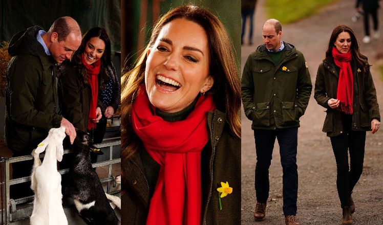 Rozbawiona Kate Middleton integruje się z kózkami w ramach wizyty na walijskiej farmie (ZDJĘCIA)