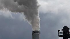 Redukcja dwutlenku węgla nie pomogła? Zmiany klimatyczne trwają