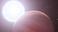 Egzoplaneta z atmosferą podobną do Ziemi. Przełomowe odkrycie w kosmosie