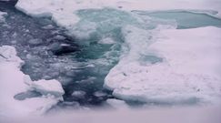 Niepokojące dane z satelity. Zmiany klimatu Arktyki