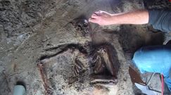 Tajemniczy szkielet z Herkulanum. Przerażające odkrycie ofiary erupcji Wezuwiusza