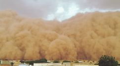 Podróż burzy piaskowej ''Godzilli'' z Afryki do USA. Naukowcy odkryli, jak to było możliwe