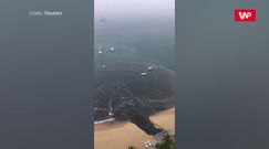 Ścieki w oceanie. Katastrofa ekologiczna w Acapulco