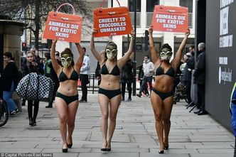 Rozebrane aktywistki PETA protestują w maskach krokodyla (ZDJĘCIA)
