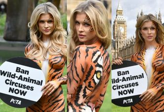 Prawie NAGA Dżoana pomalowana w tygrysie paski nie zgadza się na wykorzystywanie zwierząt w cyrku (ZDJĘCIA)