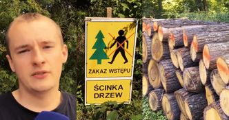 Mieszkańcy Białowieży popierają wycinkę w Puszczy! "Dużo drzewa leży i się marnuje. Część człowiek spaliłby w piecu"