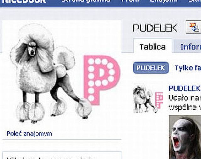 Po co Pudelkowi Facebook?