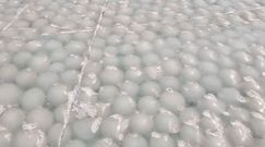 Tysiące ogromnych baniek pod lodem na jeziorze. Zaskakujący widok w Chinach