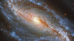 Niezwykła galaktyka NGC 613. Nowe zdjęcia z teleskopu Hubble'a