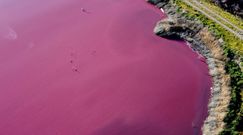 Tajemnicza, różowa woda na lagunie. Podejrzane zjawisko w Argentynie