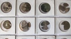 Odkrył średniowieczną kolekcję monet. Poszukiwacz-amator z Opolszczyzny z zarzutem