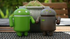 Android 10 coraz bliżej. Ma nowe logo i zrywa ze słodyczami