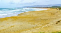 Piasek odsłonił starożytny skarb na plaży. Zaskakujące odkrycie w Izraelu